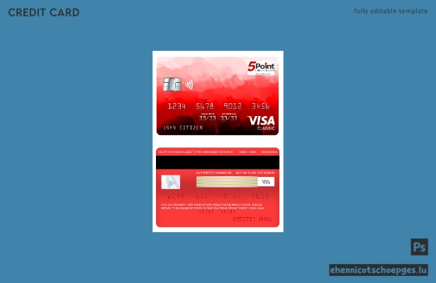 USA Texas 5Point Credit Union Bank Visa Classic Karte – Beispielvorschau